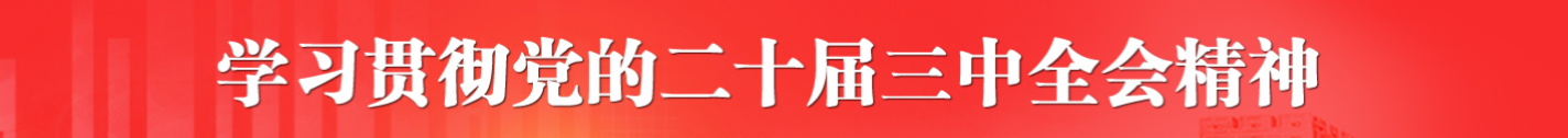 深入学习贯彻党的二十届三中全会精神